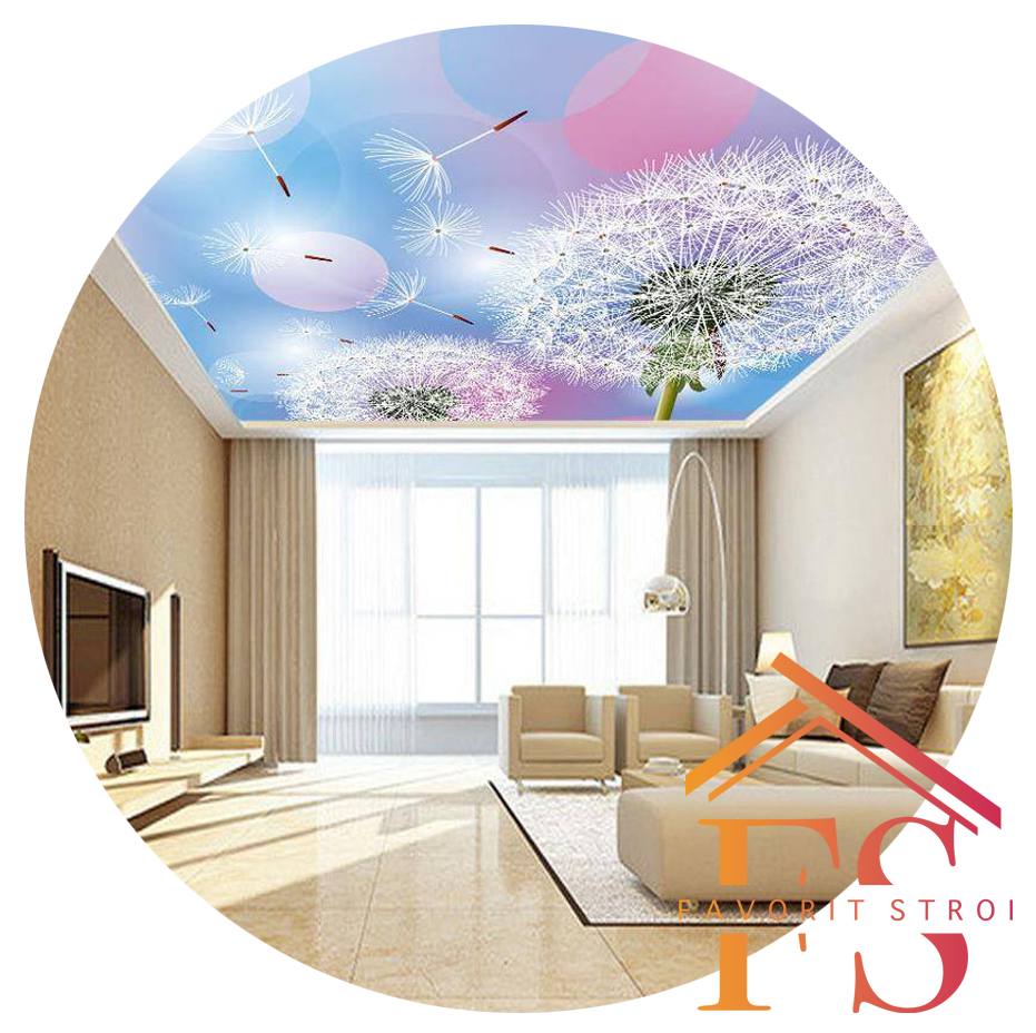 Типы потолков в Талдоме.